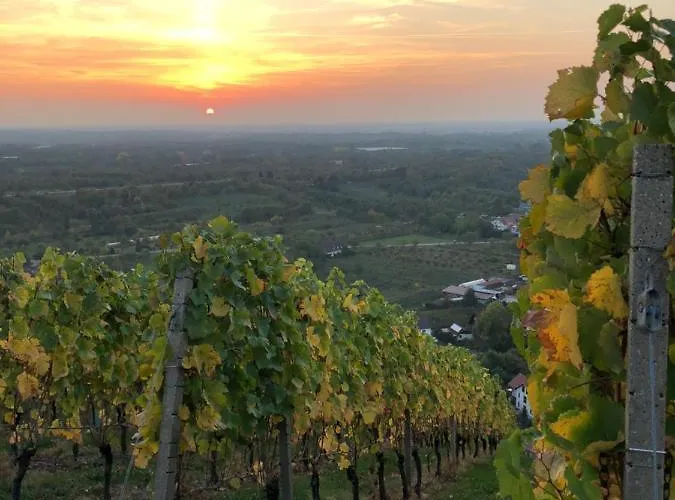 Maison d'hôtes Linde Oberachern *