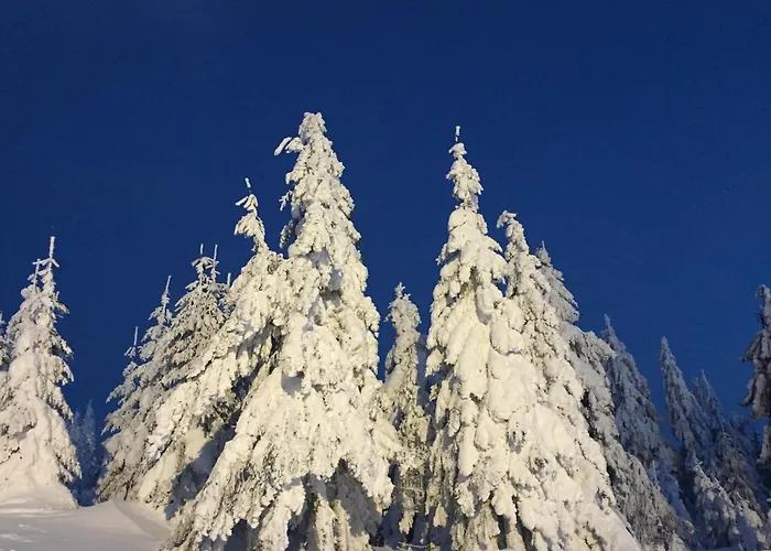Linde Oberachern Maison d'hôtes Achern